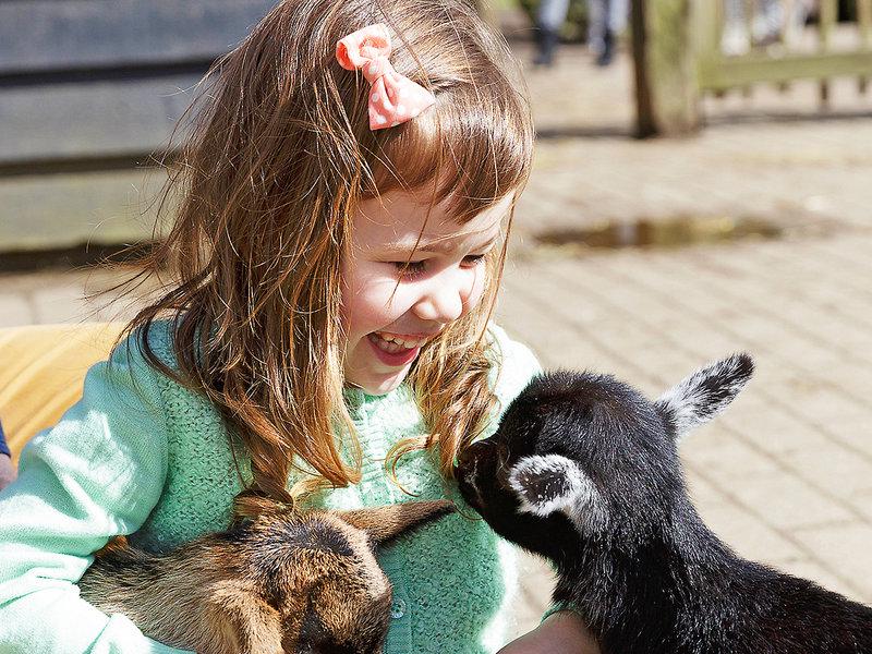 8CBAB034584927844918A3FB3095B46D