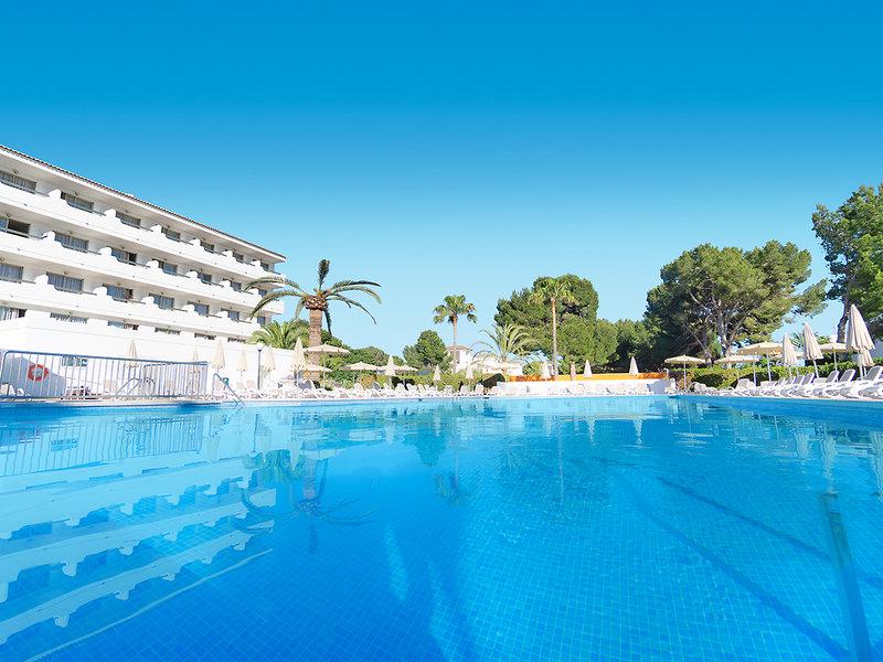 FA044931513A20DDFA2042FBF8E55B11