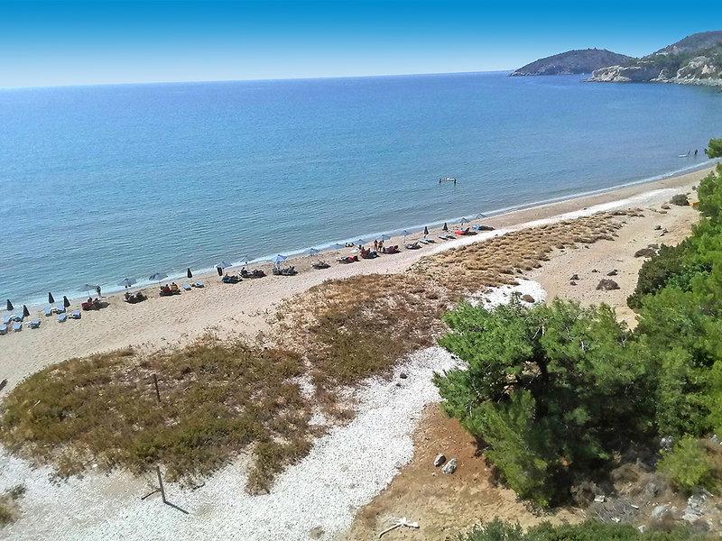 3FE4E349EF27334D42E873B06F530630