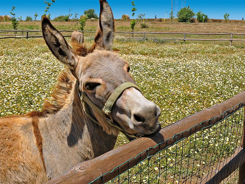 2BF7A93DF597A5630A8560255B951A60