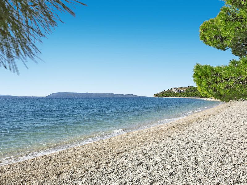 C1E5820F8B8AA91247E754D39022F5F2