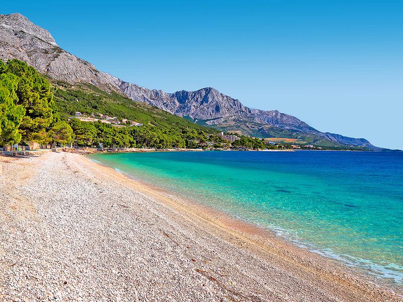 A76238EFFB9145E118212130D65CA87C