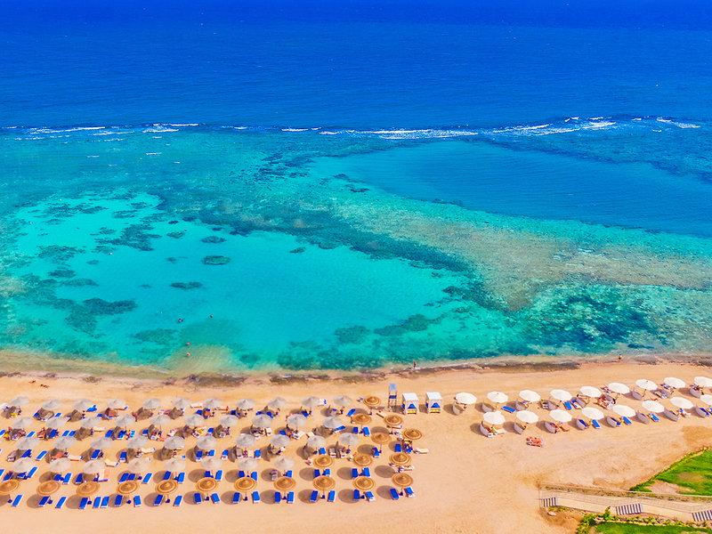 F86868E0E38E269DAAB6D76798D7C2C8