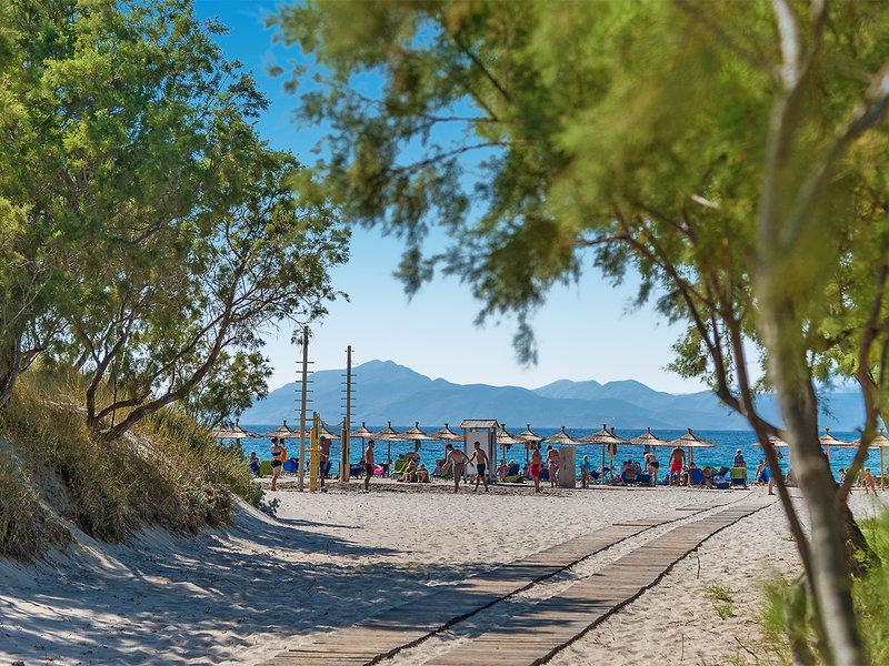 B0CF38CE68FF9A78B4F7157533D8F8D0