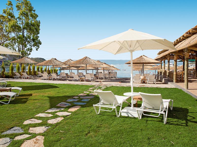 8D9CE37A9436A6EC5B37CC5CE064A1F8