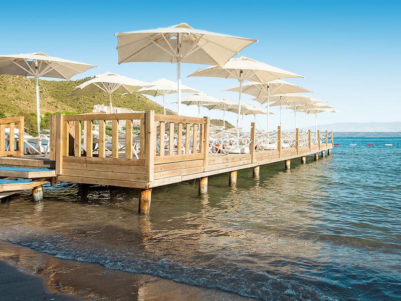 CEBD5B243D94C849A5F1A62223136C1F