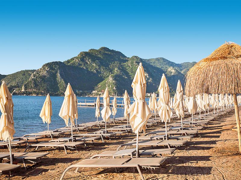 A3E25B8365A579DD6FB615516070DD49