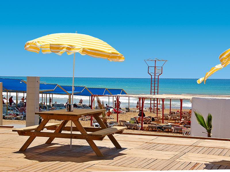 8D19A423F85E12480D0C1F964C4ADA51