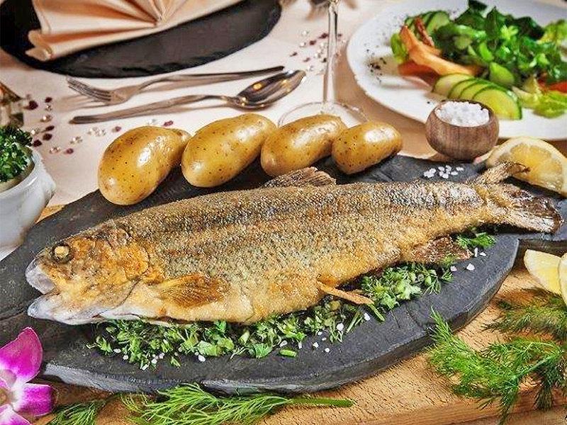 9168E217E89DCC3417A15B52B428AB90