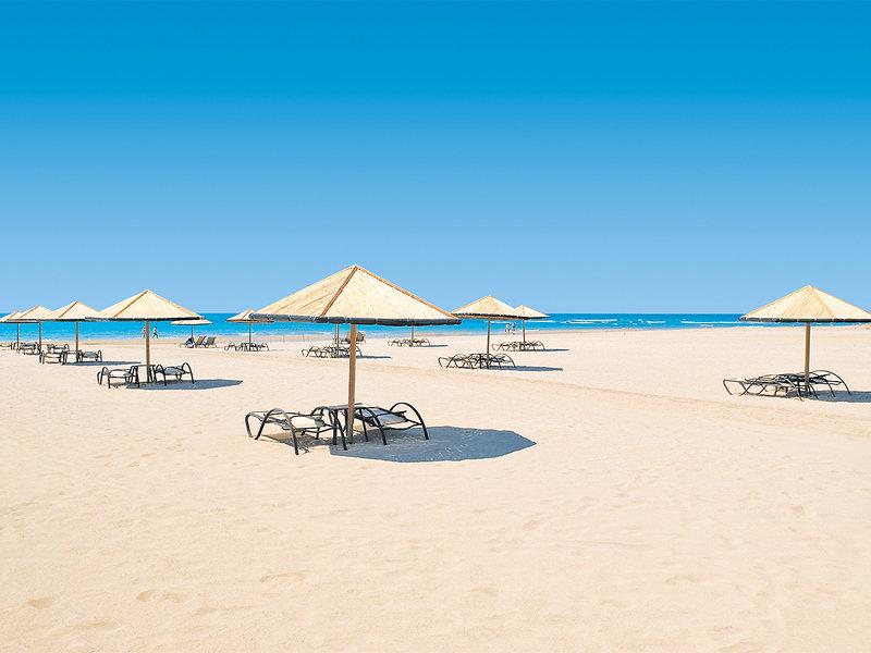 F4CA365655D55301B6F9B97C56D45F32