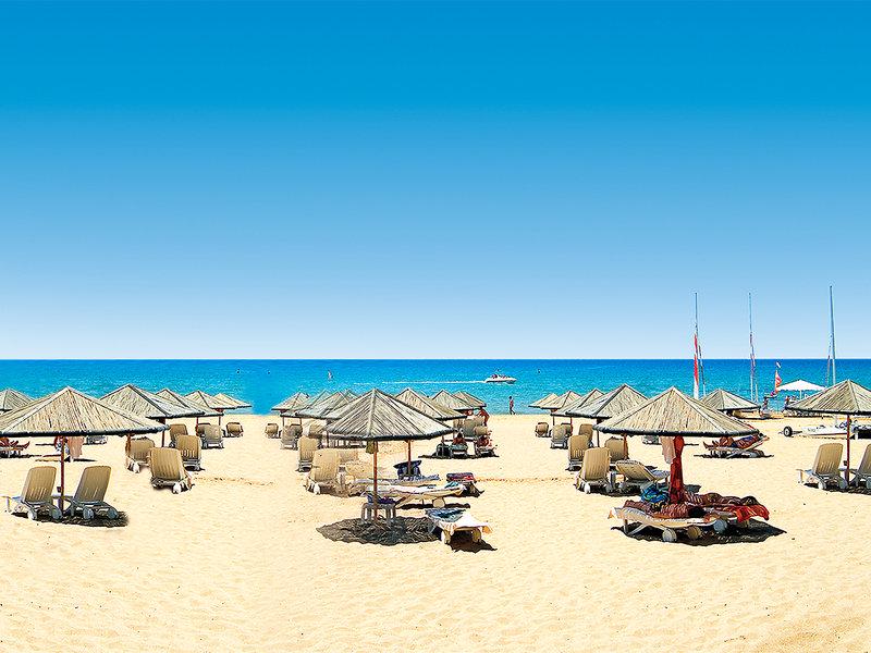 53A4253D69B85E4A6F09A4C5D6EE13FF