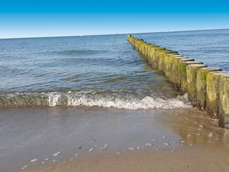 0C762186FB65312A1D2C213A64C72F5F