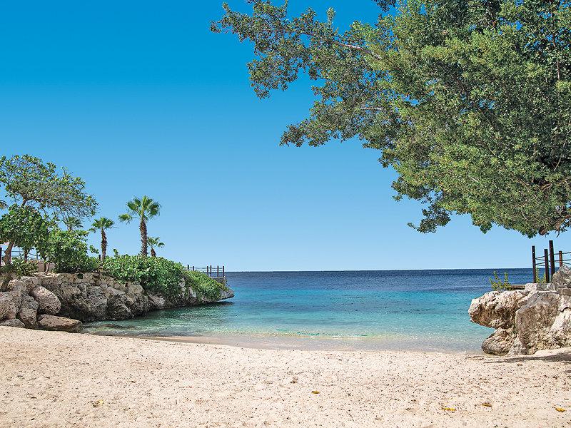 A78AEDC548128855735EE7D264691802