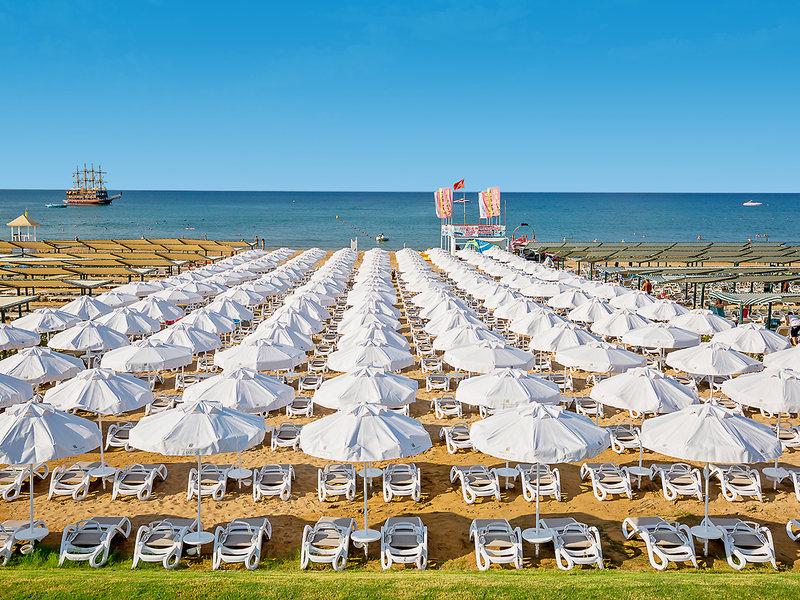 AB64BF0DDC6620C884A2751E3E9EA0B5