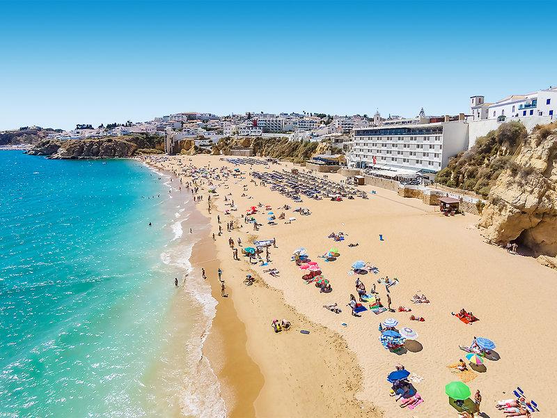 761FC2A9E35A97C9933738FDD4B48919