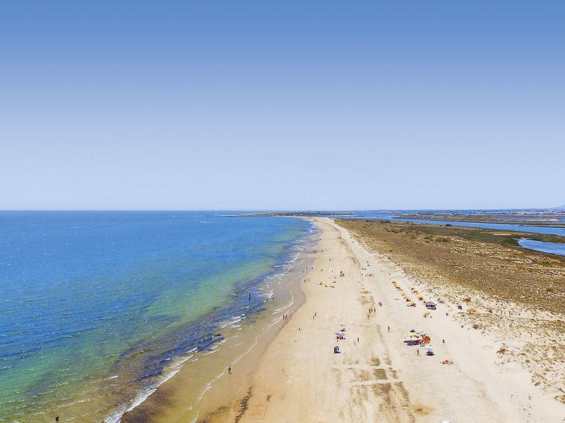 D1FA0D03DC1F5B89BA74AE5AA5F07815