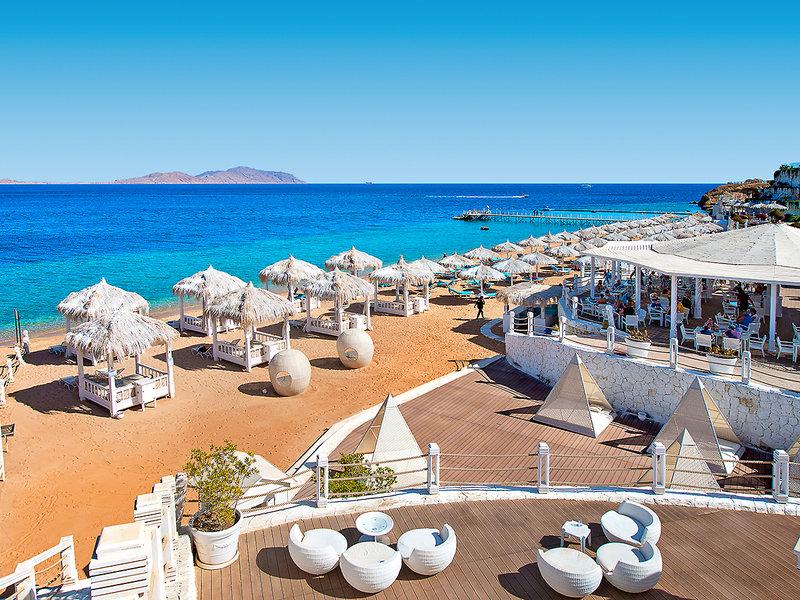 51402314A438C75DC9CCA16C075C1452