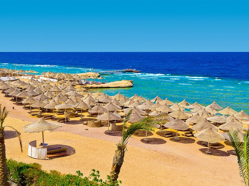 A89BB224D844D183D3D5D54C7B44079C