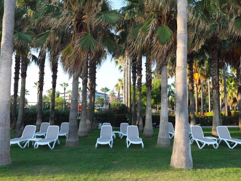 E9E18D1B0A6AED91F007DD7C9928880E