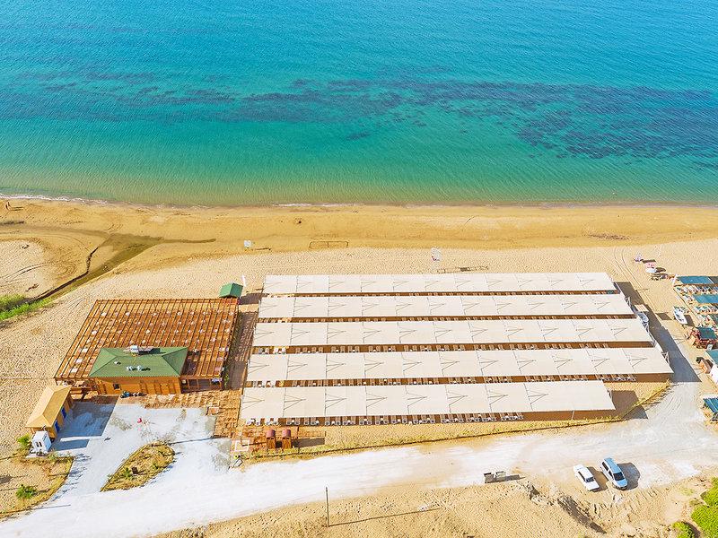 A5F106265FA74E9D1FD0DC86287593F1