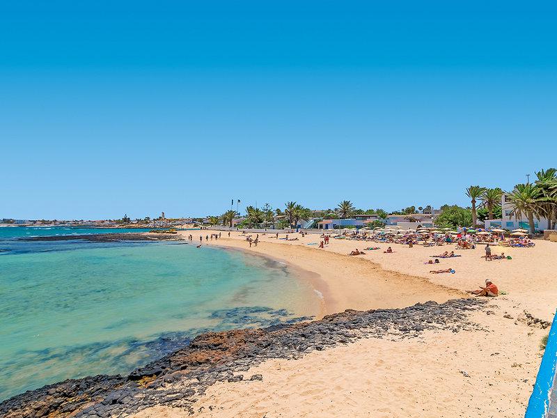 BEBCB25867D99A77B6BE8C6C7FB22ADE