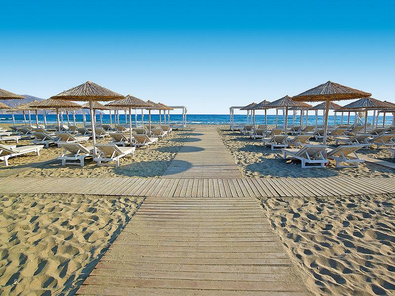 6E1922E0A91C22C1CAC3A19952FF4B6D