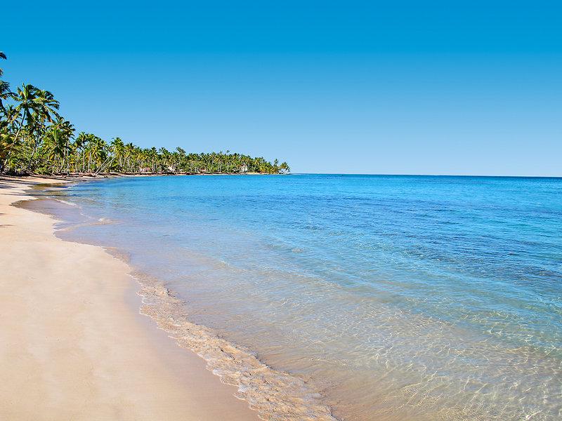 278D82AAEFBF5B216CD6E1DC48C762D8