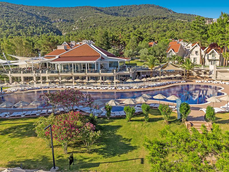 EE0AC2A0579462AF7E4A8D4C05728D33