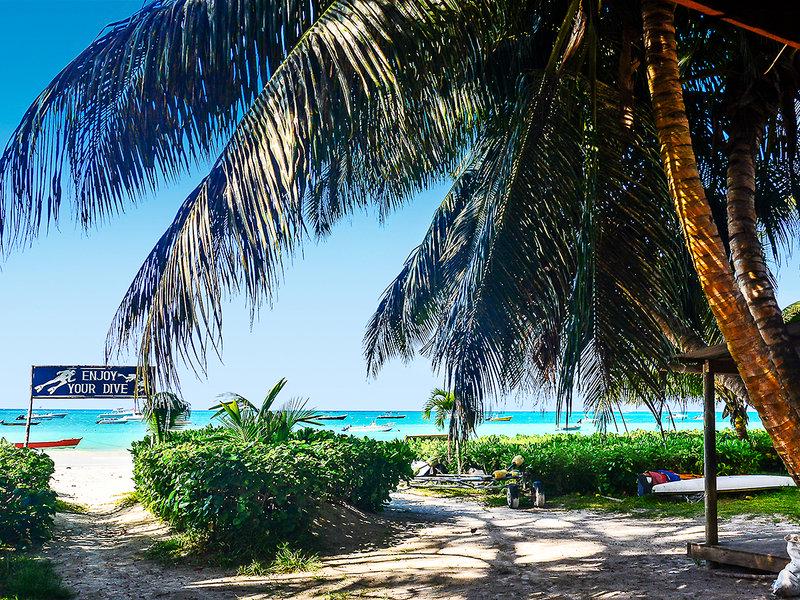 F6923A2D1BC8804F8D980AF75BC765D5