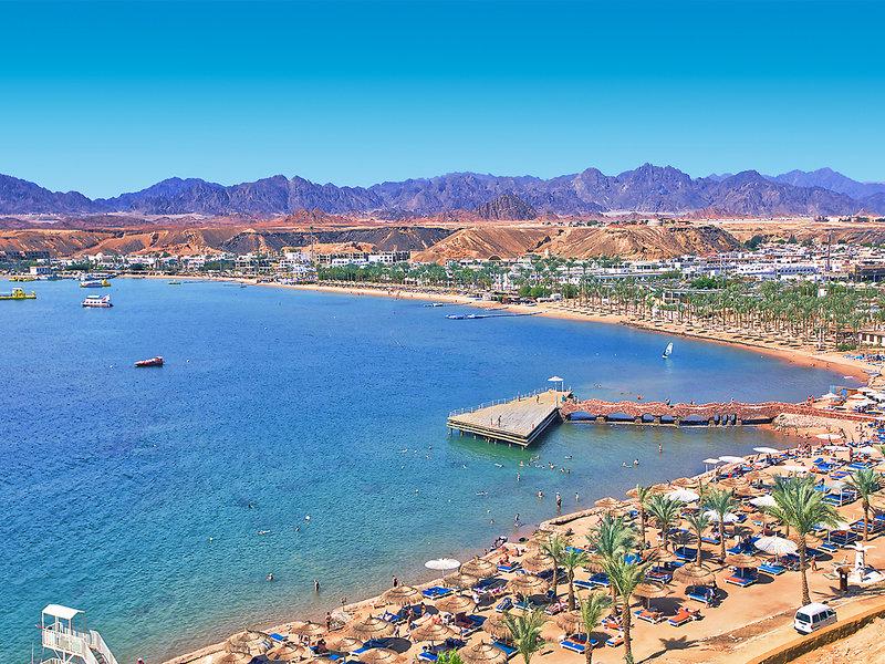 6731ED28B6E478E207E5DE0B949E6AB5