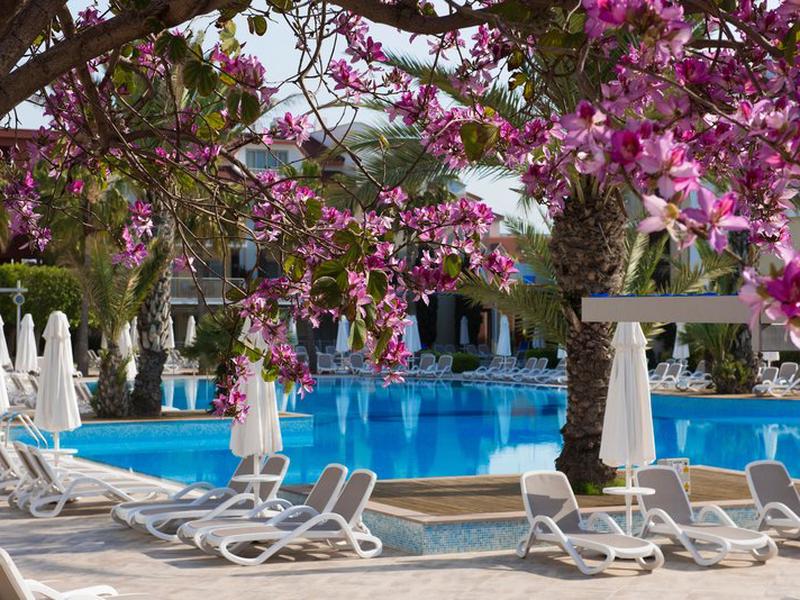 5B100D5D69A5D507D9DB7F3662B5B318