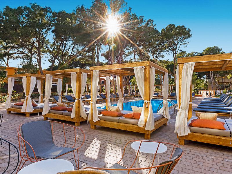 A9F8B5D81C5F5A7FD6D04155F045C062