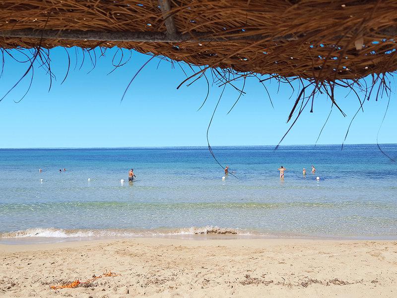 53364BE53BB6B8278366B58F25E04447