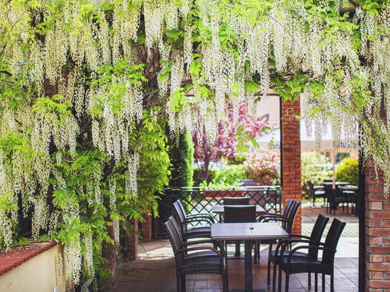 DE5577260F11CB42604A56886A6EE4CF