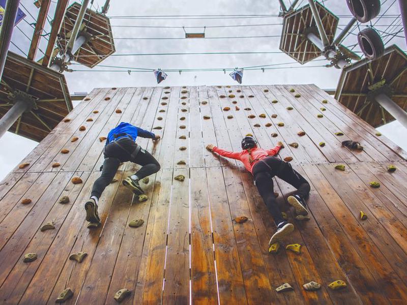 079A0C7AF95B6A2474654D89FD860E27