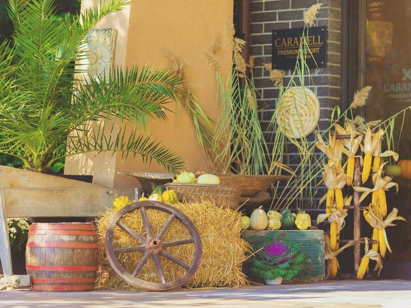 4AB93E0543714DA76EEBF06639F08F5B