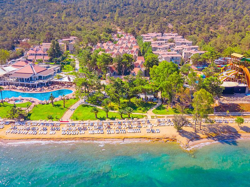 E6730297D0FC83F996BAF26F8D696EC5