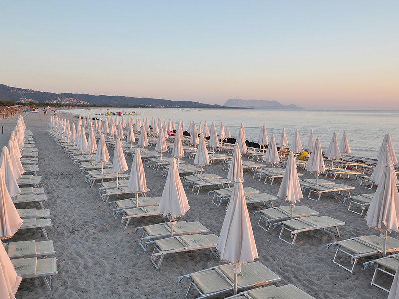 97A4B33632504A17BD210CEE17E88375