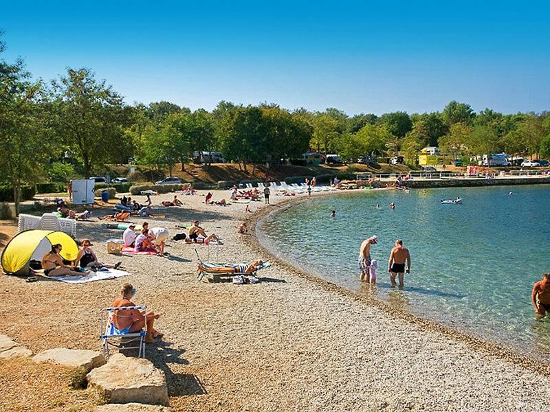 8986CBF66421AE1242339F2C408EA097