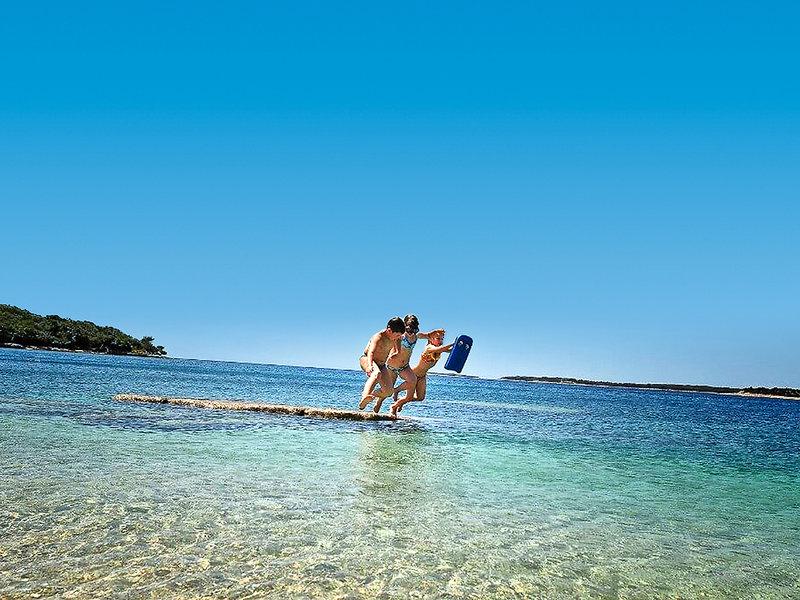 4BBF9498DA5D12F27C3866816728D367