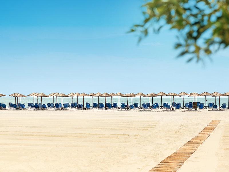 FDE6F76DD35112C42DD5D3992D941449