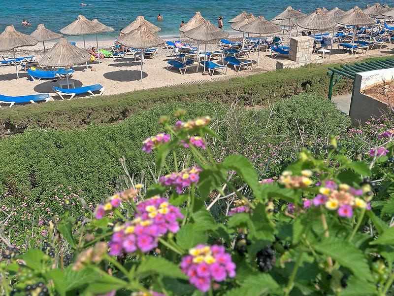 241FD70AACF18EFB4B9F92C3586E24F6