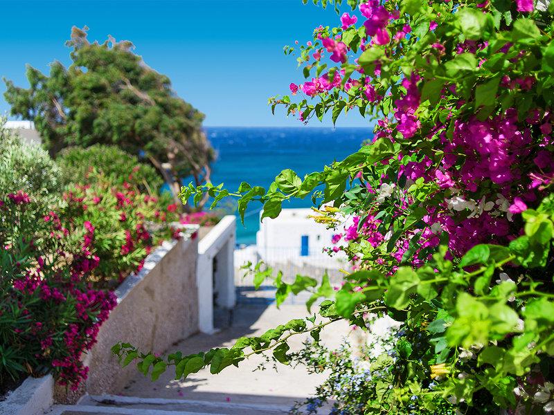 FDD6D365D3150315DD4EF6ECAB735337