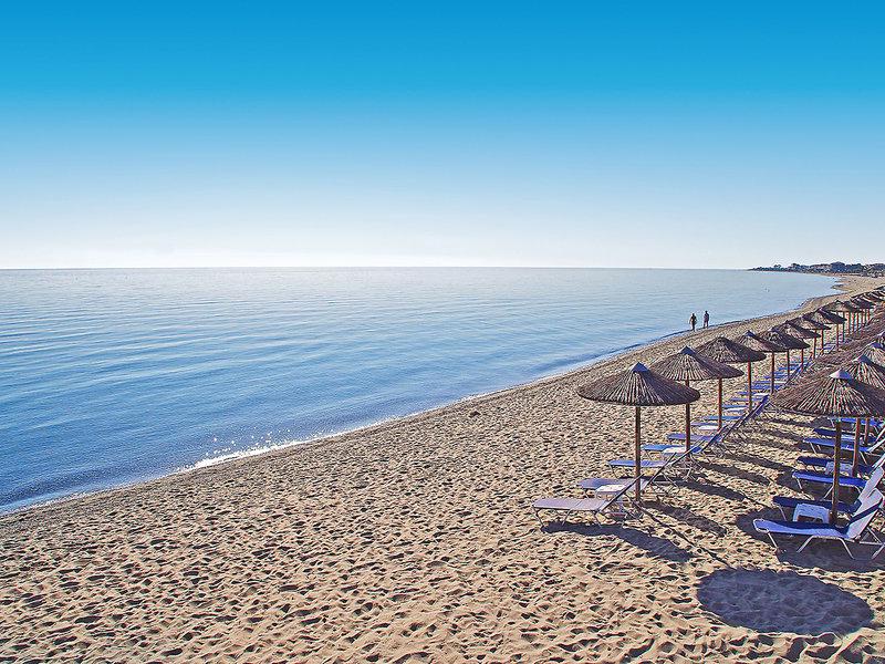 F6E4A591220529349BABE5DF8E97C7C8