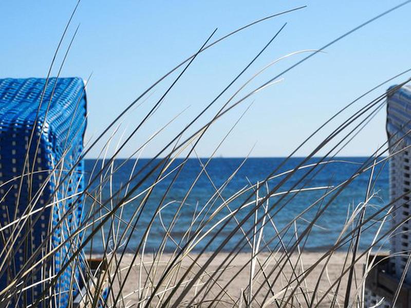 53FA4220041F2F1FB0BD0D9B765D2B7E