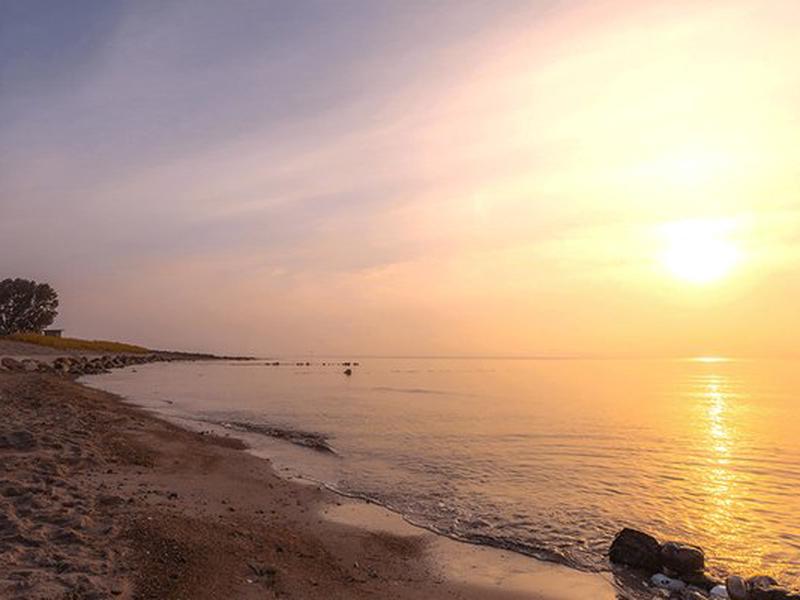 5D5E6E8ACF16C363FA9FBDEB0E79FC87