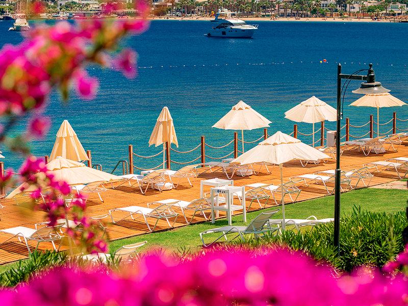 699484CD42772D30E5E07F1AF3704485