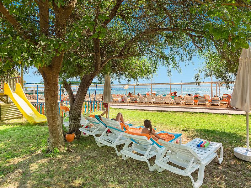 246641D547A1B4504887E6531F7FFD18