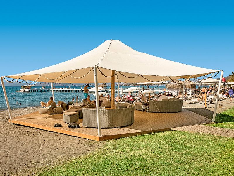 AF445AD99F55455F0036FCEBFEA3B4FC