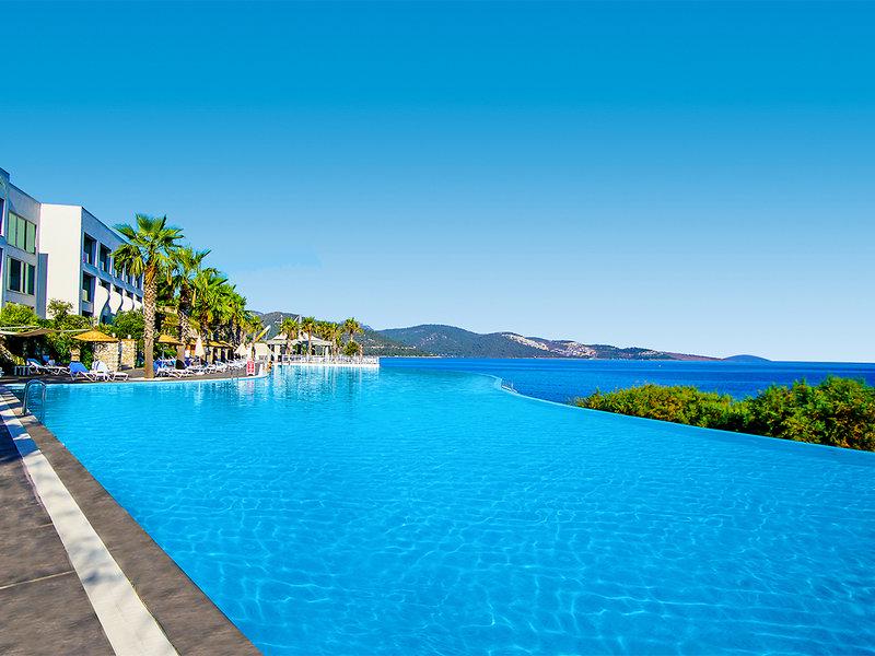 C3393A790074B98A1B36743FD522C1E8